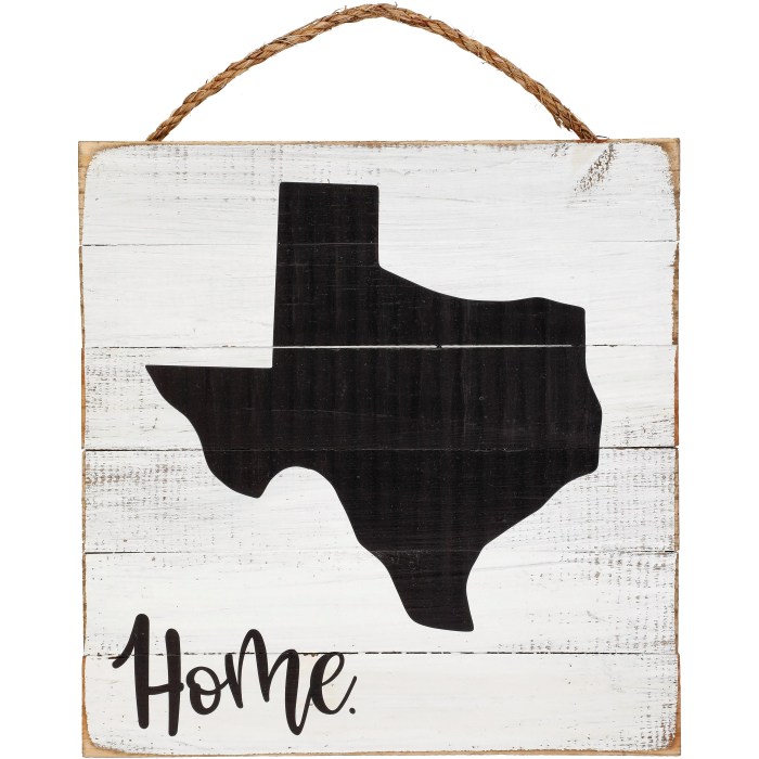 State of texas wall decor