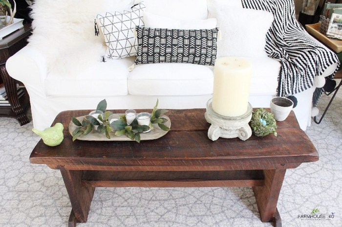 Minimal coffee table decor