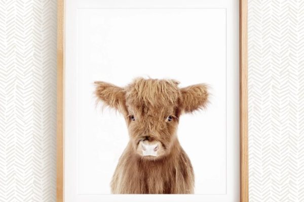 Highland cow nursery wall decor