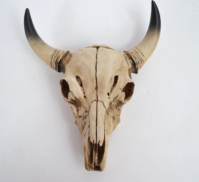 Cow head wall decor