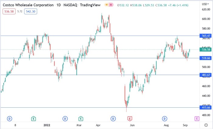 Costco stock