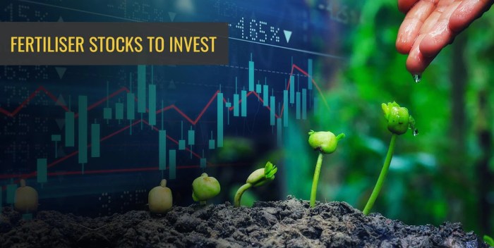 Rashtriya chemicals & fertilizers stock price