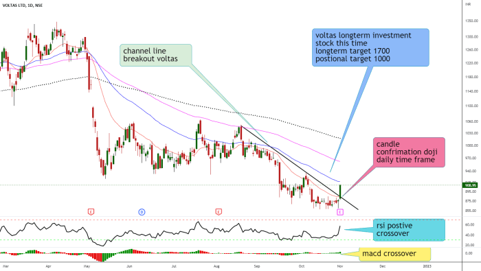 Voltas ltd stock price