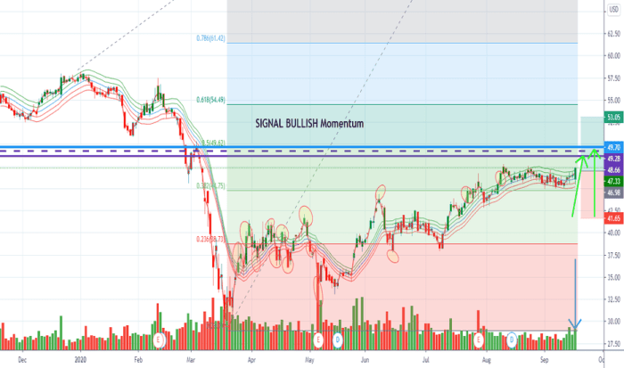 Bgs tradingview ligand