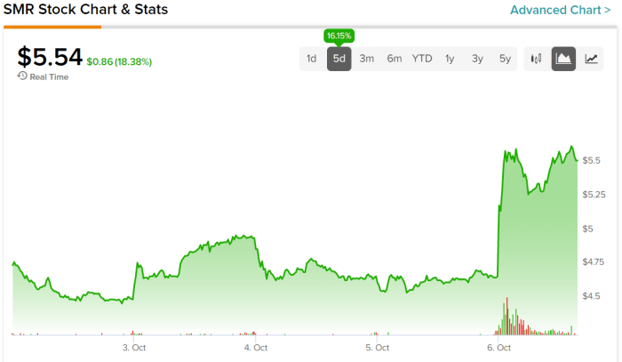 Nuscale power stock price